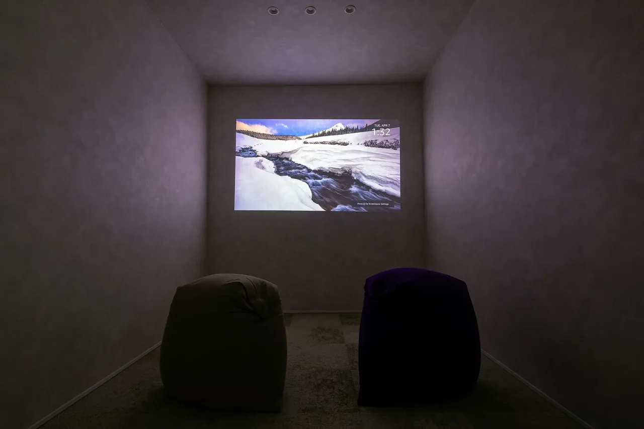 Private theater room with projector and surround sound