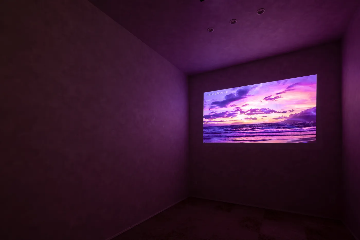 シアタールーム